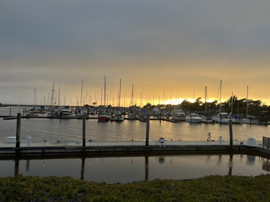 The Berkeley Boathouse by null