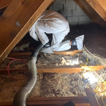 Mowatt Mold Removal - Mold specialist - Damage Restoration Near Me Mowatt Mold Removal - Mold specialist - Damage Restoration Near Me