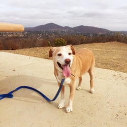 Canyon Hills Open Space