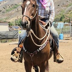 Nojoqui Horse Ranch - Veronica on obstacles.
