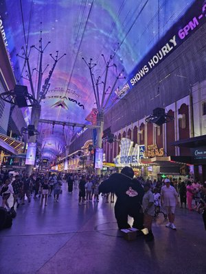 Fremont Street Experience by null
