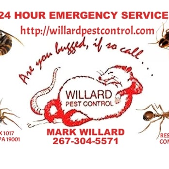 Willard Pest Control - Pest Control Near Me Willard Pest Control - Pest Control Near Me