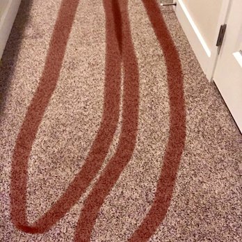 Hager Pest Control - This is a pic of the day after. It's kinda faded but I marked around where he sprayed for bugs in the middle of carpet - Pest Control Near Me Hager Pest Control - This is a pic of the day after. It's kinda faded but I marked around where he sprayed for bugs in the middle of carpet - Pest Control Near Me