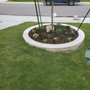 Photo of Olvera Lawn Service