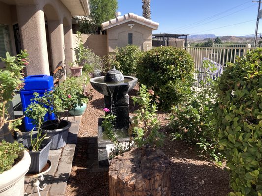 Pines Inn & Suites by null