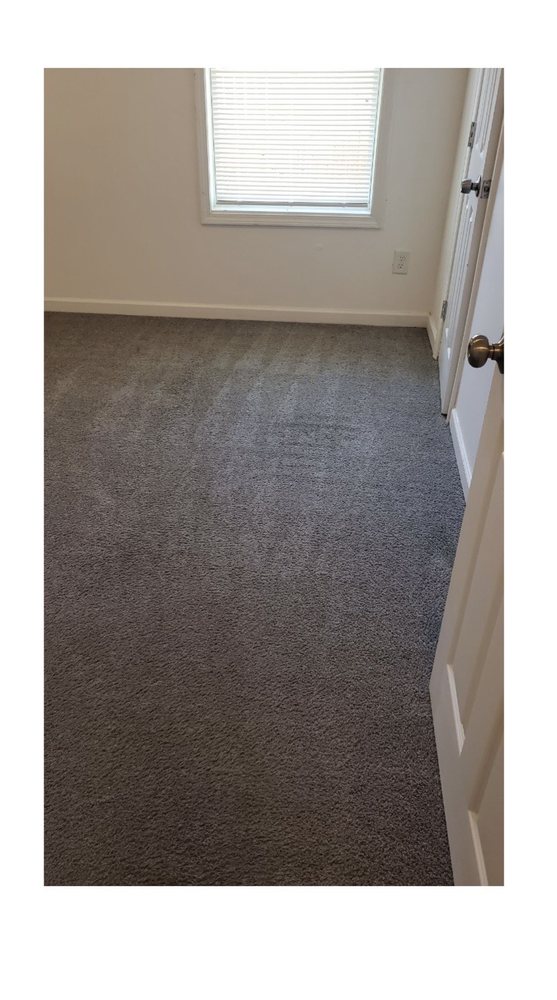 BUSY BEE CARPET CLEANING Updated September 2024 16 Photos & 29 Reviews 85 Palisades Dr