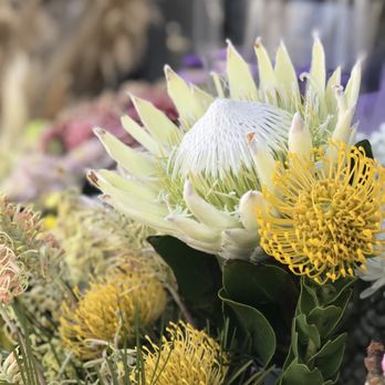 Jade Home Decor - Flowers - Home Decor Near Me - Murrieta, California