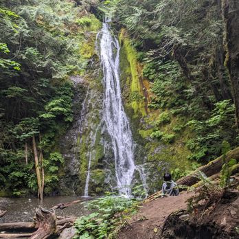 Evergreen Escapes - Tours Near Me - Seattle, Washington Evergreen Escapes - Tours Near Me - Seattle, Washington