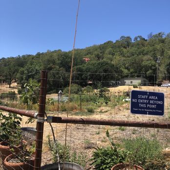 Morton's Warm Springs - Little garden on the property - Venues & Event Spaces Near Me - Glen Ellen, California Morton's Warm Springs - Little garden on the property - Venues & Event Spaces Near Me - Glen Ellen, California