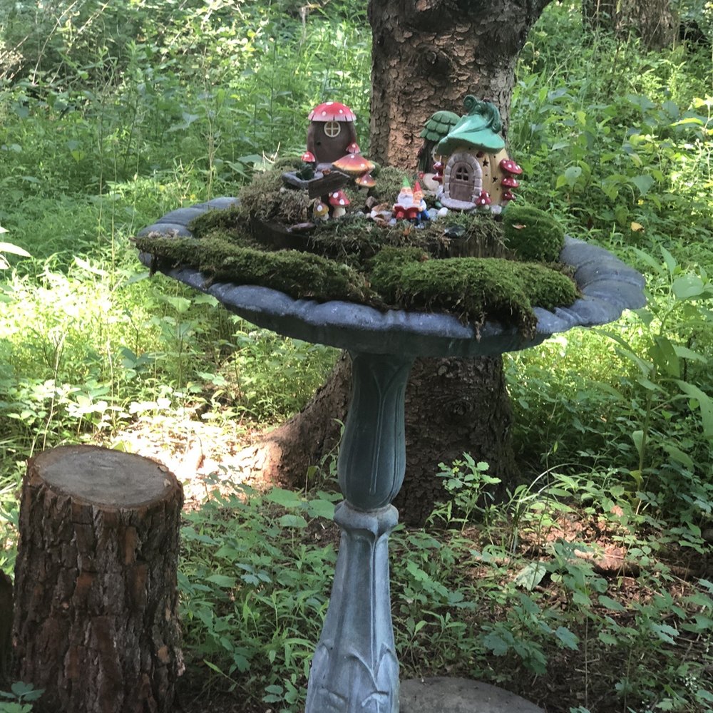 Paradise Lavender Farm - Adorable fairy garden displays - Farms Near Me - Cresco, Pennsylvania Paradise Lavender Farm - Adorable fairy garden displays - Farms Near Me - Cresco, Pennsylvania