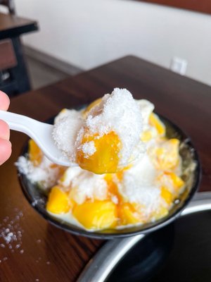 Yummy's Korean BBQ & Sushi 고기 전문 AYCE | Korean School 한글 학교 | Snowflake Shave Ice Bingsoo by null