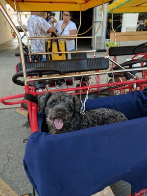 Atlantic Cycles by null