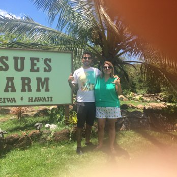 Hawaii Turtle Tours - Tours Near Me - Honolulu, Hawaii Hawaii Turtle Tours - Tours Near Me - Honolulu, Hawaii