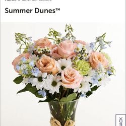 The Florist Family - This is what they were supposed to send