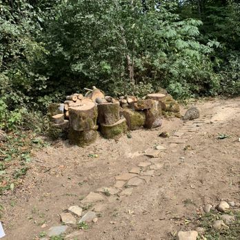 Chandler's Tree & Stump Service - Stacked and organized - Tree Services Near Me - Snohomish, Washington Chandler's Tree & Stump Service - Stacked and organized - Tree Services Near Me - Snohomish, Washington