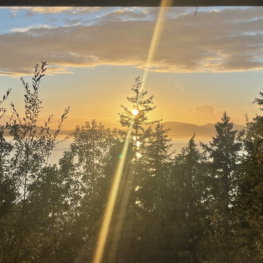 Chuckanut Cabins - Beautiful sunset - Guest Houses Near Me - Bow, Washington Chuckanut Cabins - Beautiful sunset - Guest Houses Near Me - Bow, Washington