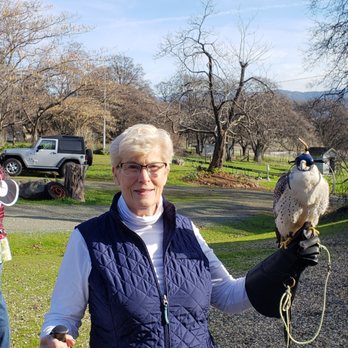 West Coast Falconry - Specialty Schools Near Me - Marysville, California West Coast Falconry - Specialty Schools Near Me - Marysville, California