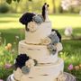 Photo of Cakes By Paula
