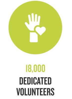 Citymeals On Wheels by null