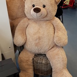 Tedi