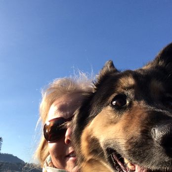 Rustikal - Dog Walkers Near Me