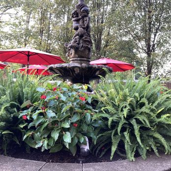 Andora - Fountain - New American Near Me - Sewickley, Pennsylvania