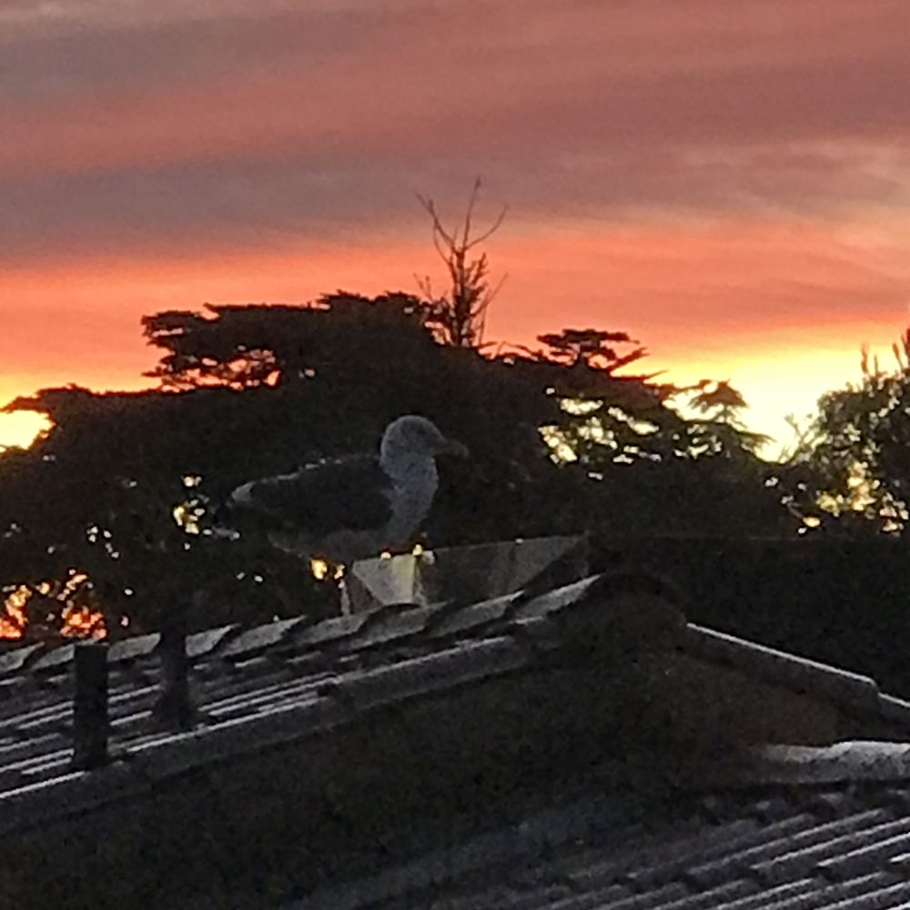Hotel Abrego - Hotels Near Me - Monterey, California Hotel Abrego - Hotels Near Me - Monterey, California