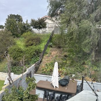 Y&A Tree Service - after they removed it. - Tree Services Near Me Y&A Tree Service - after they removed it. - Tree Services Near Me