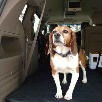 360 Pet Cab - 360 Pet Cab - Pet Transportation Near Me - Los Gatos, California 360 Pet Cab - 360 Pet Cab - Pet Transportation Near Me - Los Gatos, California