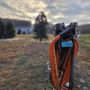 Photo of Pea Ridge Forest Christmas Tree Farm