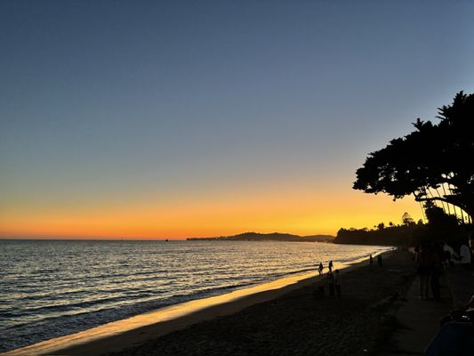 Butterfly Beach by null