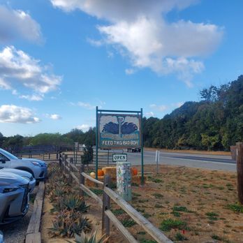 Ostrichland USA - Parking lot - Attraction Farms Near Me - Solvang, California Ostrichland USA - Parking lot - Attraction Farms Near Me - Solvang, California