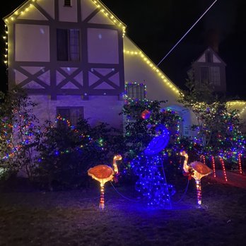 Christmas Tree Lane - Local Flavor Near Me - Palo Alto, California
