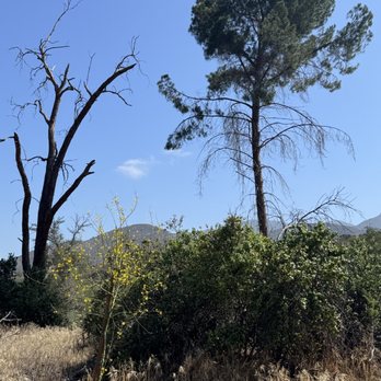 Wilderness Gardens Preserve - Hiking Near Me - Pala, California
