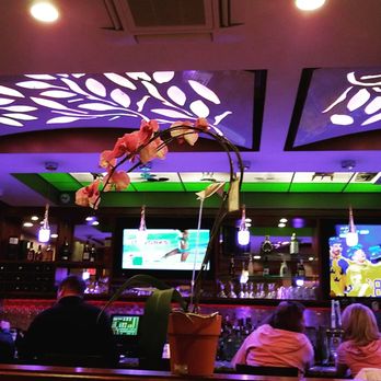 Fusion Kitchen - Quincy - Asian Fusion Near Me - Quincy, Massachusetts Fusion Kitchen - Quincy - Asian Fusion Near Me - Quincy, Massachusetts