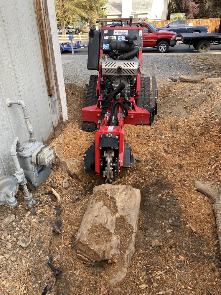 Reno Home Helpers - tree service in Reno, NV