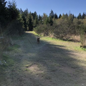 Bandix Dog Park - Dog Parks Near Me - Olalla, Washington Bandix Dog Park - Dog Parks Near Me - Olalla, Washington