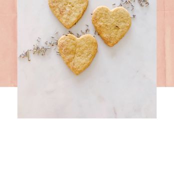Agave Pantry - Lavender lemon cookies - Desserts Near Me Agave Pantry - Lavender lemon cookies - Desserts Near Me