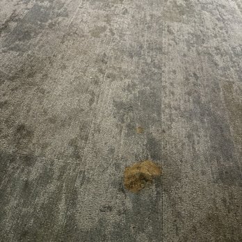 Domain San Diego - Poop - Apartments Near Me - San Diego, California