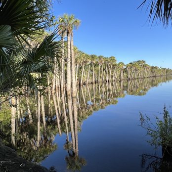 Blue Cypress Conservation Area - Beautiful day in the Blue Cypress conservation area - Local Flavor Near Me - Vero Beach, Florida