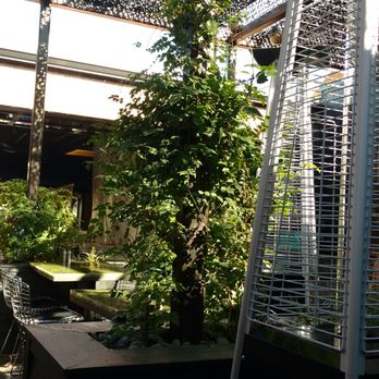 Vital Root - Fabulous outdoor patio - Vegetarian Near Me - Denver, Colorado