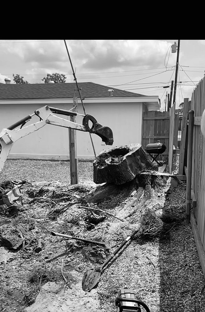 Trees ‘R’ US - tree service in New Orleans, LA