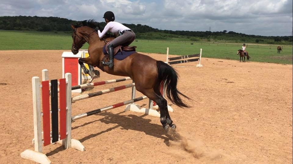 Idylwood Stables - equestrian in Austin, TX
