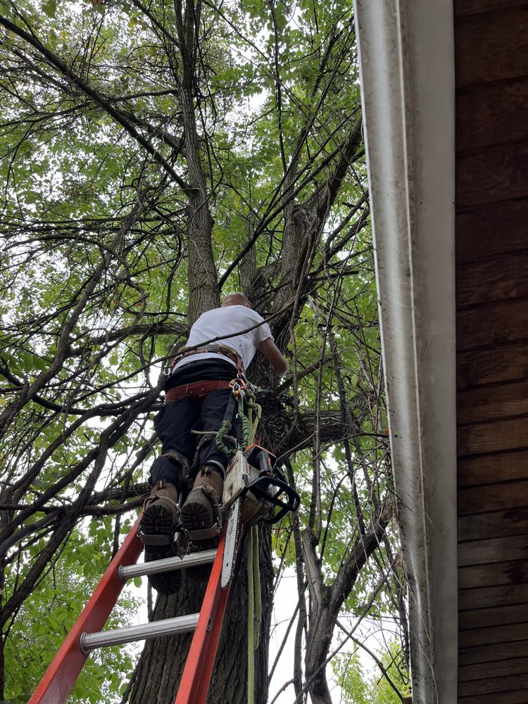 Slide of A&W Contracting