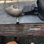 Harris Pest Control