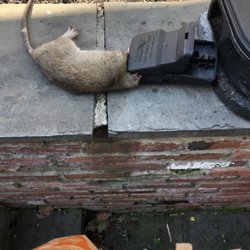 Harris Pest Control