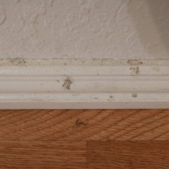 Cleaning Angels - Michael V. - Didn't Even Attempt to Clean Baseboards or Window Sills - Office Cleaning Near Me - Austin, Texas