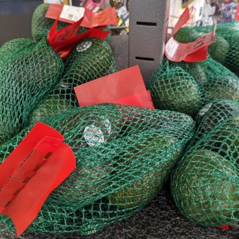 Giant Tiger - Avocados - Department Stores Near Me - Brampton, Ontario Giant Tiger - Avocados - Department Stores Near Me - Brampton, Ontario