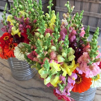 Roe Orchards - Fruits & Veggies Near Me - Chester, New York
