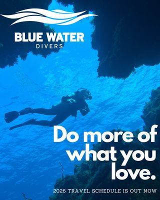 Blue Water Divers by null